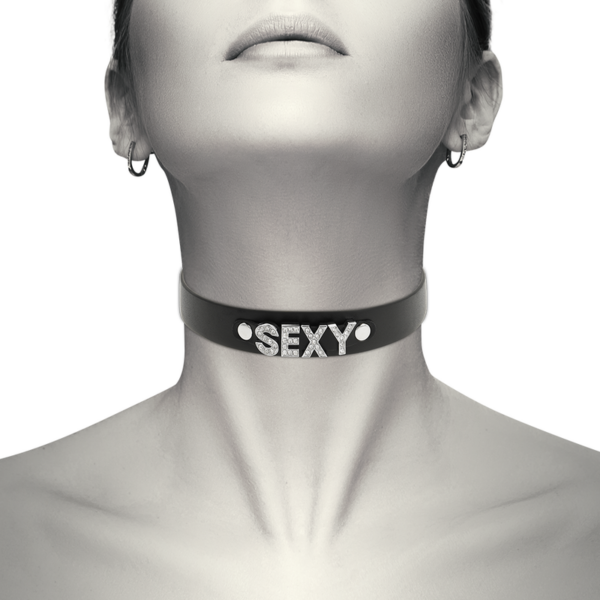COQUETTE CHIC DESIRE CHOKER CUERO VEGANO - SEXY - Imagen 2