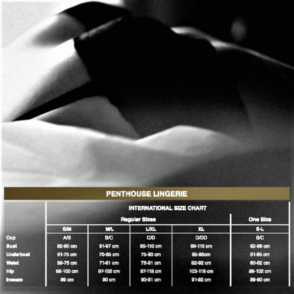 PENTHOUSE HOTTER THAN HELL TEDDY S/M/L - Imagen 3