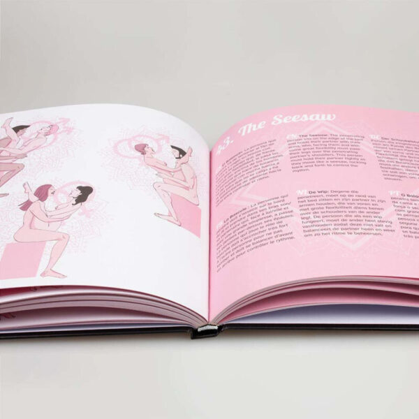 SECRETPLAY KAMASUTRA LIBRO DE POSTURAS SEXUALES (ES/EN/DE/FR/NL/PT) - Imagen 2