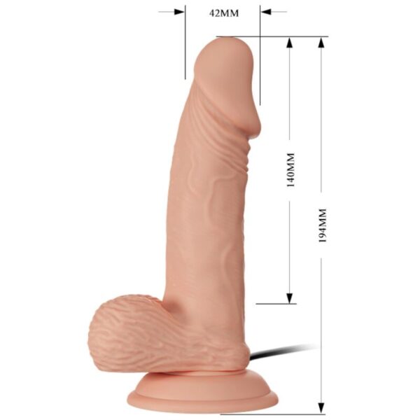 BEAUTIFUL ENCOUNTER ZEBULON VIBRACION 19.4 CM - NATURAL - Imagen 5