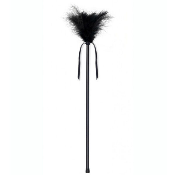 SECRETPLAY PLUMERO PLUMAS NEGRO 40CM - Imagen 3