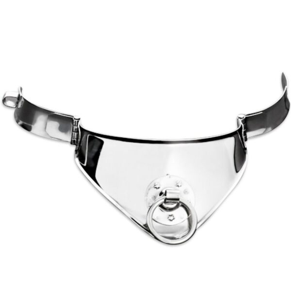 METAL HARD COLLAR RESTRICCION CON ANILLA Y CANDADO 12.5 CM - Imagen 2