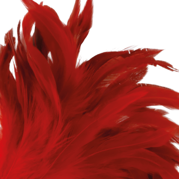 DARKNESS PLUMA ESTIMULADORA ROJO 24CM - Imagen 2