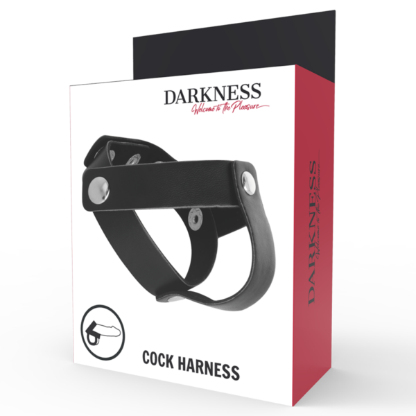 DARKNESS ANILLO DE PIEL PARA PENE Y TESTICULOS - Imagen 5