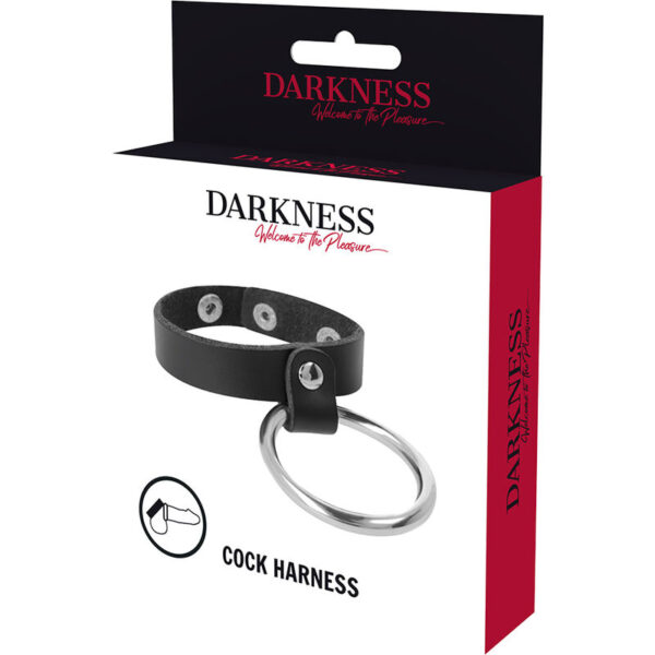 DARKNESS ANILLO DE METAL PARA EL PENE Y TESTÍCULOS - Imagen 5