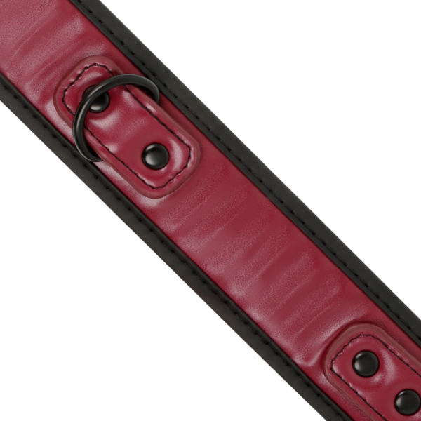 FETISH SUBMISSIVE DARK ROOM COLLAR CON CADENA CON FORRO DE NEOPRENO - Imagen 4
